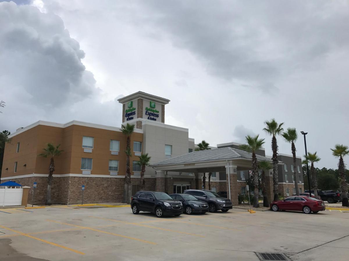 弗莱明岛智选假日套房酒店 Fleming Island 外观 照片